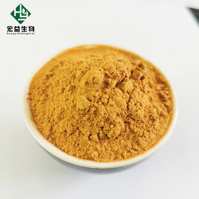 Chlorogenic Acid Honeysuckle Flower Extract CAS 327-97-9