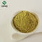 Bulk Ursolic Acid Extract Loquat Leaf Extract CAS 77-52-1